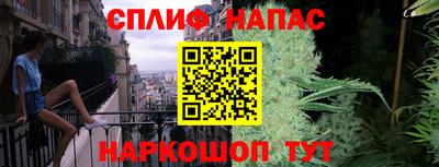 тгк Белореченск