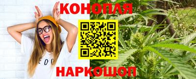 тгк Белореченск